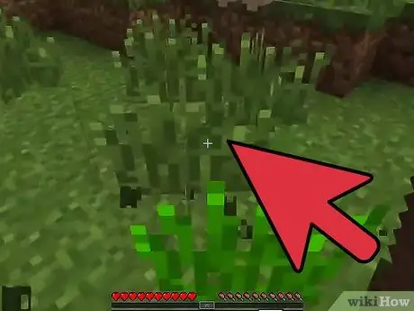 Minecraft Adım 8'de Makas Yapın