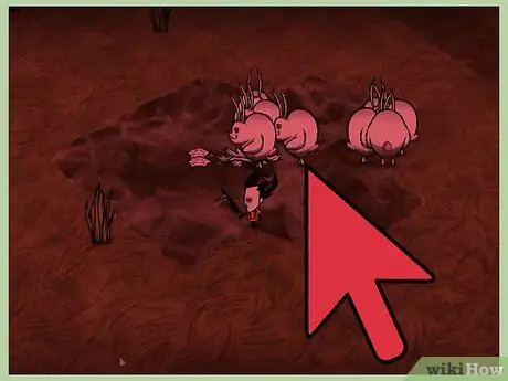 Aumente a sanidade em Don't Starve Step 16