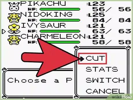 Get Fly on Pokemon Yellow Step 2