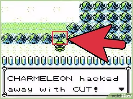 Get Fly on Pokemon Yellow Step 6