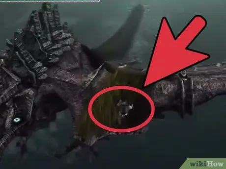 Najděte a porazte 5. kolos v Shadow of the Colossus, krok 12