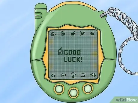 הפוך את Tamagotchi שלך לגדול שלב 15