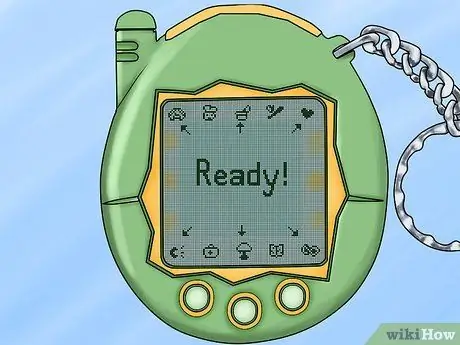 הפוך את Tamagotchi שלך לגדול שלב 4