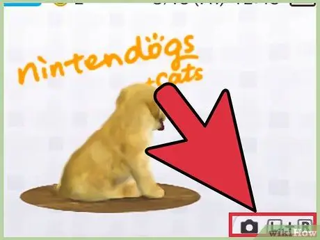 Delete Your Nintendogs + Cats Completely Step 2