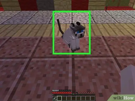 Haiwan jinak di Minecraft Langkah 13