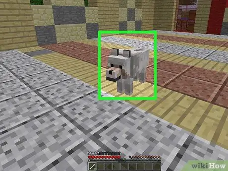 Haiwan jinak di Minecraft Langkah 15