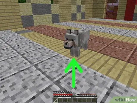 Tämma djur i Minecraft Steg 17