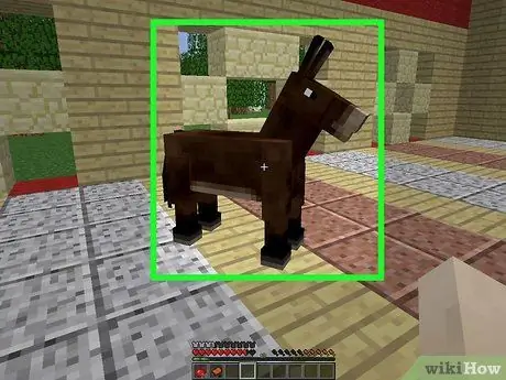 Приручите животных в Minecraft, шаг 2