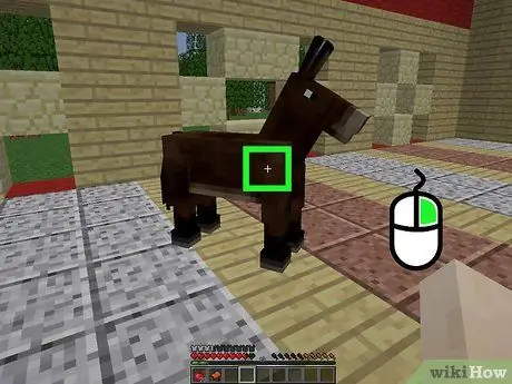 Tame Animals in Minecraft Pasul 4