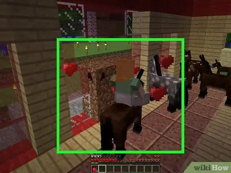 Tämma djur i Minecraft Steg 6