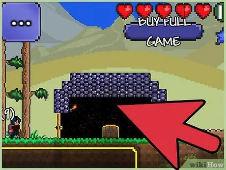 Ikan di Terraria Langkah 10