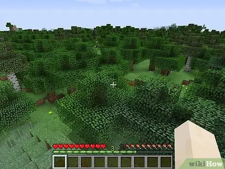 Planter des arbres dans Minecraft Étape 1