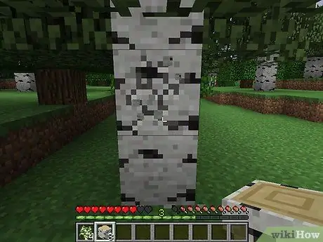 Bäume pflanzen in Minecraft Schritt 2