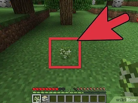 Panda Miti katika Minecraft Hatua ya 3