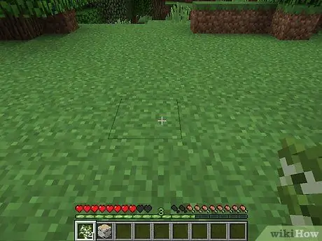 Zasaďte stromy v Minecraftu Krok 4