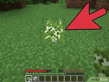 Menanam Pokok di Minecraft Langkah 5