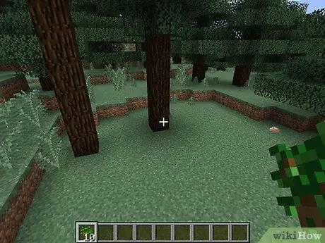 ปลูกต้นไม้ใน Minecraft ขั้นตอนที่ 8