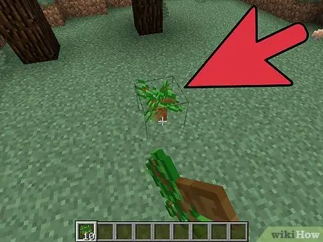 Plant trær i Minecraft Trinn 9