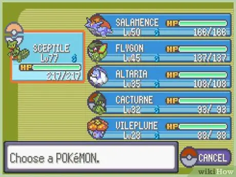 Få foss i Pokemon Emerald Trinn 14