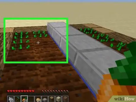 Magvak ültetése a Minecraftban 10. lépés