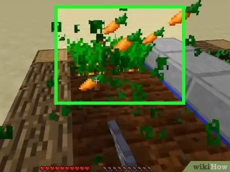 Zaden planten in Minecraft Stap 11