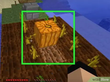 Plant frø i Minecraft Trin 15