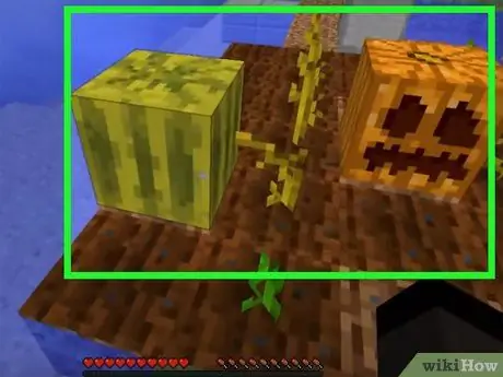 Minecraft Step 16. में बीज रोपें