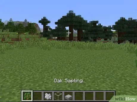 Menanam Benih di Minecraft Langkah 17