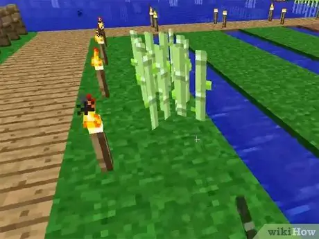 Plant sade in Minecraft Stap 18