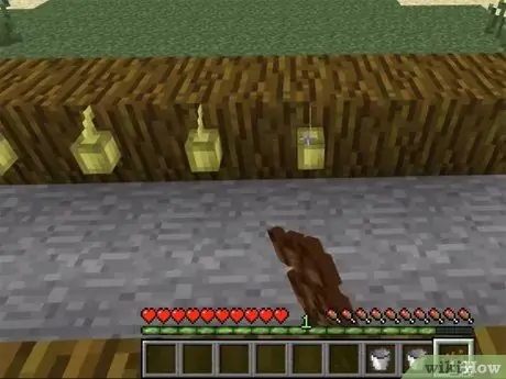 Semințe de plante în Minecraft Pasul 19