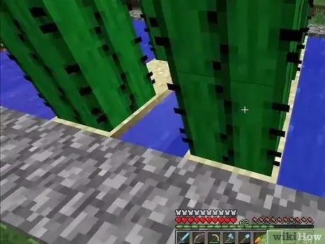 Panda Mbegu katika Minecraft Hatua ya 21