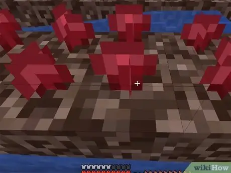 Magvak ültetése a Minecraftban 22. lépés