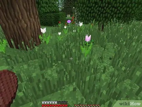 Panda Mbegu katika Minecraft Hatua ya 23