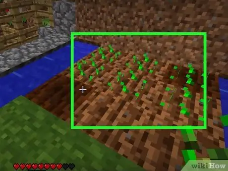 Zaden planten in Minecraft Stap 5