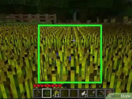 Plantar semillas en Minecraft Paso 6