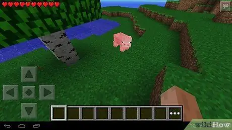 Խաղացեք Minecraft Pe Քայլ 29