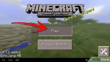 Ua Si Minecraft Pe Kauj Ruam 2