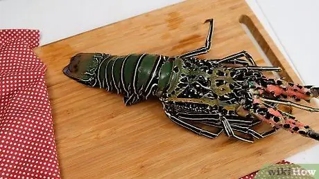 Broil Lobster مرحله 9