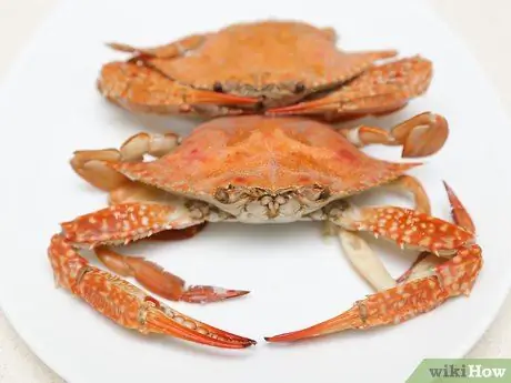 Gătește o finală de crab