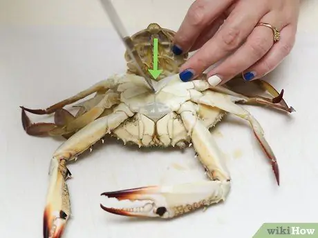 Cook a Crab Step 3