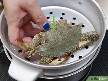 Magluto ng Crab Hakbang 6