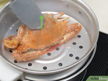 Gatiti un Crab Pasul 8