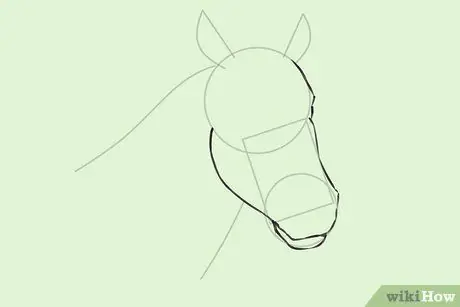 Draw a Horse Step 15