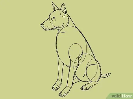 Draw a Dog Step 34