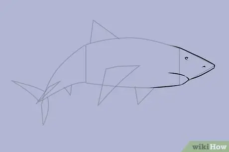 Draw a Shark Step 15