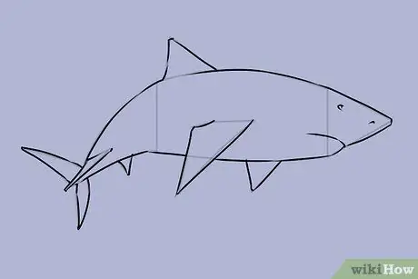 Draw a Shark Step 17