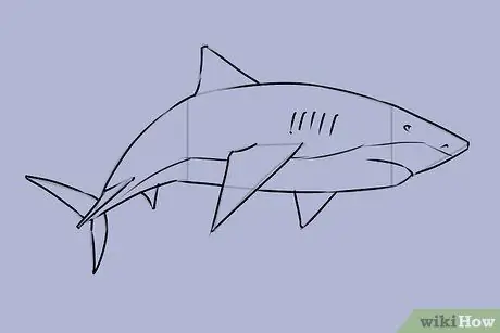 Draw a Shark Step 18