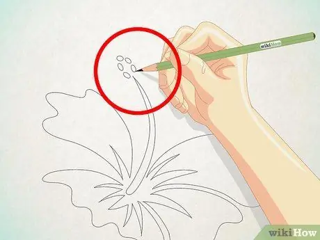 Draw a Cartoon Hibiscus Flower Step 10