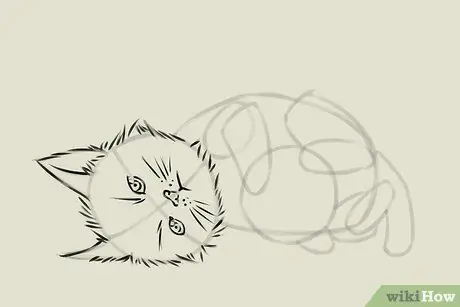 Draw a Kitten Step 14