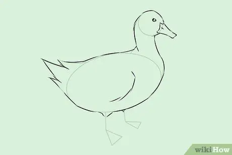 Draw Ducks Step 14